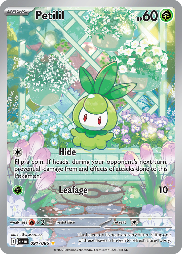 Petilil - Black Bolt #91