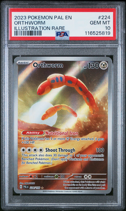 Orthworm Illustration Rare Pokemon Pal En-Paldea Evolved 224 NM PSA 10